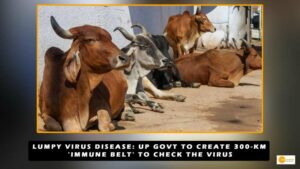 Read more about the article Lumpy Virus Disease: UP govt to Create 300-km ‘Immune Belt’ to check the virus