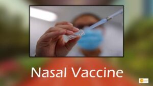 Read more about the article Nasal Vaccine: कोरोना की नेजल वैक्सीन को भारत में मंजूरी, 18 वर्ष से ज्यादा के लोगों को मिलेगी!