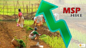 Read more about the article MSP: केंद्र सरकार ने बढ़ाई 6 रबी फसलों की एमएसपी, जानें कितना मिलेगा किसानों को फायदा!