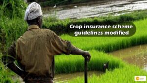 Read more about the article Crop insurance scheme guidelines modified, Check out modification