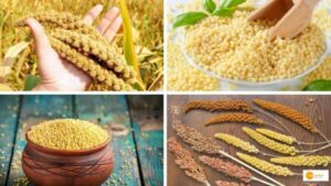 Read more about the article Foxtail Millet: Know the Nutritional and Medicinal Benefits
