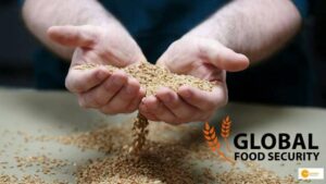 Read more about the article Wheat produced indoors could contribute to global food security