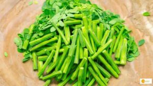 Read more about the article Drumstick Benefits: 300 बीमारियों को दूर करने वाले इस पौधे के बारे में कितना जानते हैं आप डाइट में शामिल करने से होगा फायदा