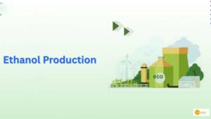Read more about the article Ethanol Production से किसानों को होगा लाभ, जानें हरियाणा हरियाणा सरकार की उस पहल को जिससे किसान होंगे आर्थिक रूप से सशक्त!