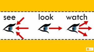 Read more about the article Do you know there’s a difference between look, watch and see!