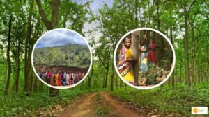 Read more about the article How to rejuvenate a forest? Women in an Odisha village show the way