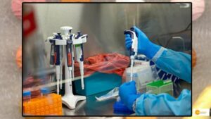 Read more about the article Researchers from India, Israel, and the US attempting to develop a drug to treat the rare disease ‘GNB1 Encephalopathy’