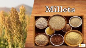 Read more about the article International Year of Millet 2023: सेहत के लिए फायदेमंद है मोटा अनाज, दिल का भी रखता है ख्याल!