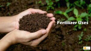 Read more about the article बायोफर्टिलाइजर लैब से बढ़ेगी किसानों की आय, जानें कैसे बढ़गी किसानों की आय !