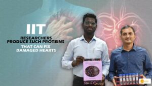 Read more about the article IIT Researchers produced such proteins that can fix damaged hearts