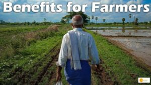Read more about the article किसानों के लिए लाभदायक होते हैं किसान उत्पादक समूह, जानें कैसे किसान ले सकते हैं इसका लाभ!