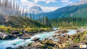 Read more about the article Nations reach a historic deal to protect nature