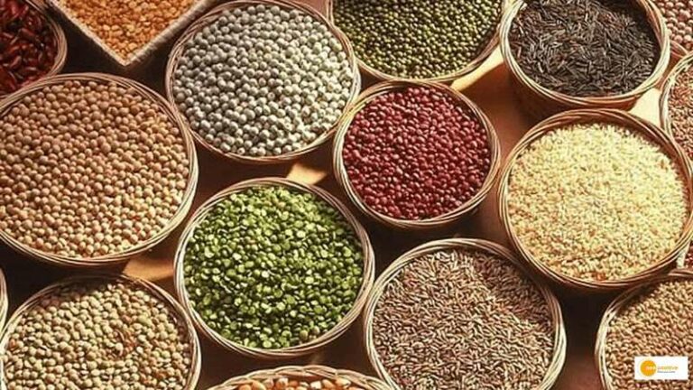 Read more about the article ‘श्री अन्न’ योजना की क्या है खासियत? भारत के साथ अंतरराष्ट्रीय बाजार में तेजी से बढ़ रही है जिसकी मांग