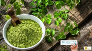Read more about the article Moringa Oleifera Benefits: जानें कैसे पोषण को कंप्लीट करता है ये सुपर फूड!