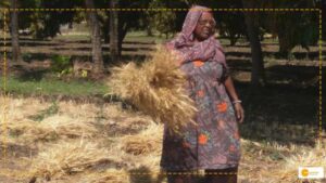 Read more about the article पद्म श्री सम्मान: जानें कई महिलाओं और बच्चों के जीवन में बदलाव लाने वाली हीराबाई लोधी के बारे में