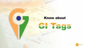 Read more about the article Preserving Traditions: The Importance and Benefits of Geographical Indication (GI) Tags