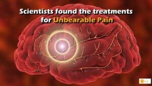 Read more about the article Scientists Record Brain Waves, Lead to New Treatments for Unbearable Pain