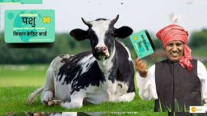 Read more about the article पशुपालन को बढ़ावा देती है केंद्र सरकार की यह स्कीम, किसान क्रेडिट कार्ड के लिए कोई भी किसान कर सकता है आवेदन, जानें कैसे?