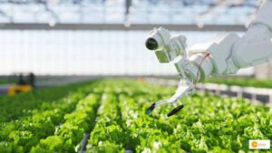 Read more about the article Revolutionizing Agriculture for Sustainable and Profitable Farming