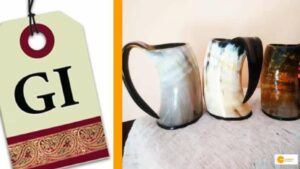 Read more about the article GI Tag: उत्तप्रदेश के सात उत्पादों को मिला जियोग्राफिकल इंडेकेशन, जानें क्या है खास!