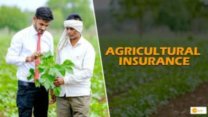 Read more about the article Agricultural Insurance: Protecting Farmers from Risks