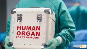 Read more about the article India Ranks 3rd in Organ Transplantation: Green Corridors Revolutionize the Process