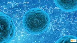 Read more about the article Your cells are listening: How Talking to Your Body Helps You Heal