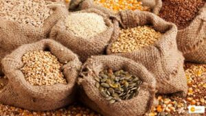 Read more about the article बीज संरक्षण की दिशा में महत्वपूर्ण भूमिका निभा रहे हैं ये किसान, 600 तरह के देसी बीज उगाकर किसानों को मुफ्त में बांट दिए!