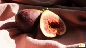 Read more about the article पारंपरिक खेती से हटकर किसानों ने की अंजीर की खेती, आज कॉनट्रैक्ट खेती से हो रहे आर्थिक रूप से समृद्ध!