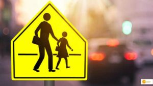 Read more about the article Bahu Balli: जानें भारत सरकार की इस कॉस्ट इफेक्टिव और इको फ्रेंडली सॉल्युशन के बारे में!