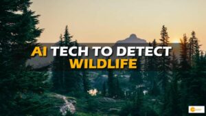 Read more about the article Pano AI: Revolutionizing wildfire detection with advanced AI technology