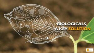 Read more about the article Biologicals: Technological solutions for sustainable crop health & plant protection