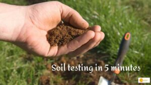 Read more about the article Soil testing in 5 minutes: 2 scientists innovated paper-based device to help farmers