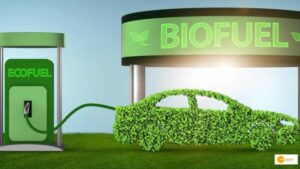 Read more about the article बॉयोडीजल ब्लेंडिंग पॉलिसी से पर्यावरण संरक्षण के साथ ही किसान करेंगे एक्स्ट्रा इनकम, जानें कैसे?