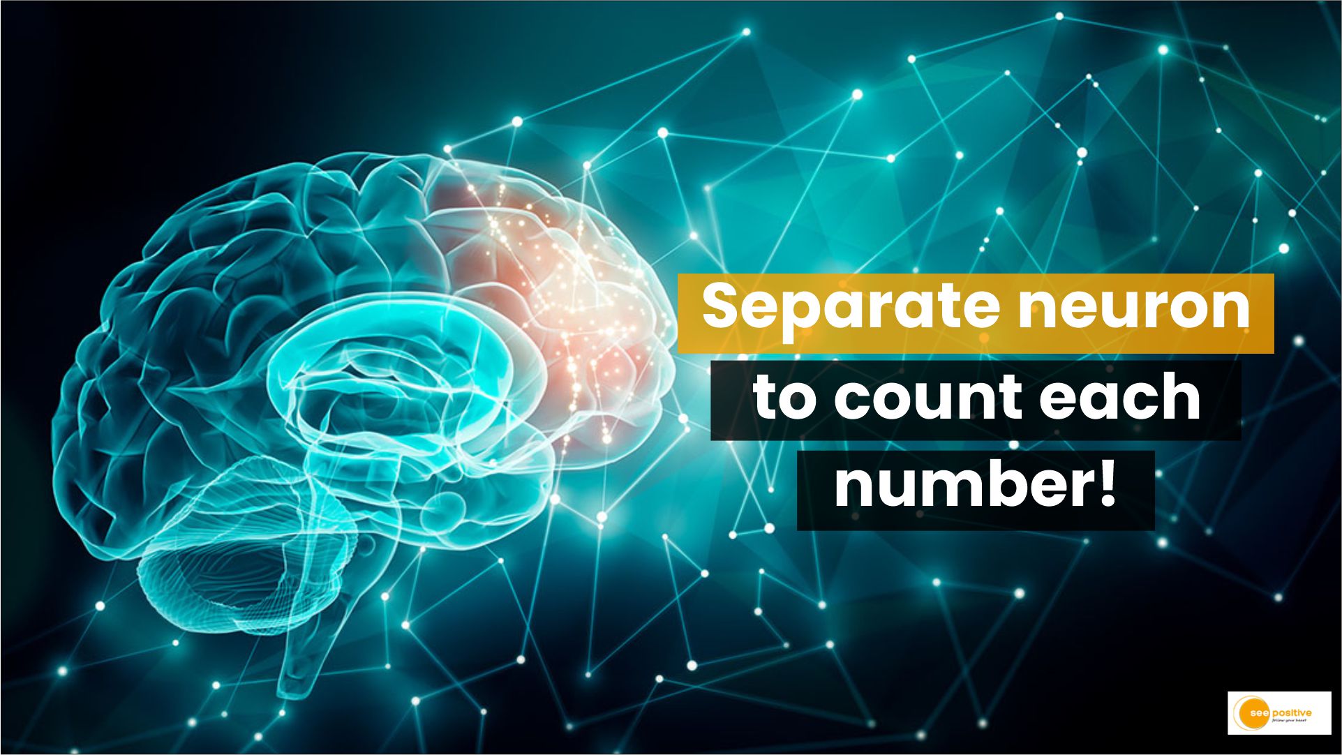 Separate neuron to count each number!