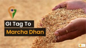 Read more about the article GI Tag: इस खास धान को मिला जियोग्राफिकल टैग, जानें क्या है खासियत!