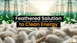 Read more about the article How Waste Feathers Can Turn Into Hydrogen? A Pioneering Breakthrough