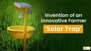 Read more about the article किसान के इनोवेटिव आइडिया ने पेस्टीसाइड के इस्तेमाल को किया खत्म, सोलर एनर्जी से बनाया सोलर ट्रैप!