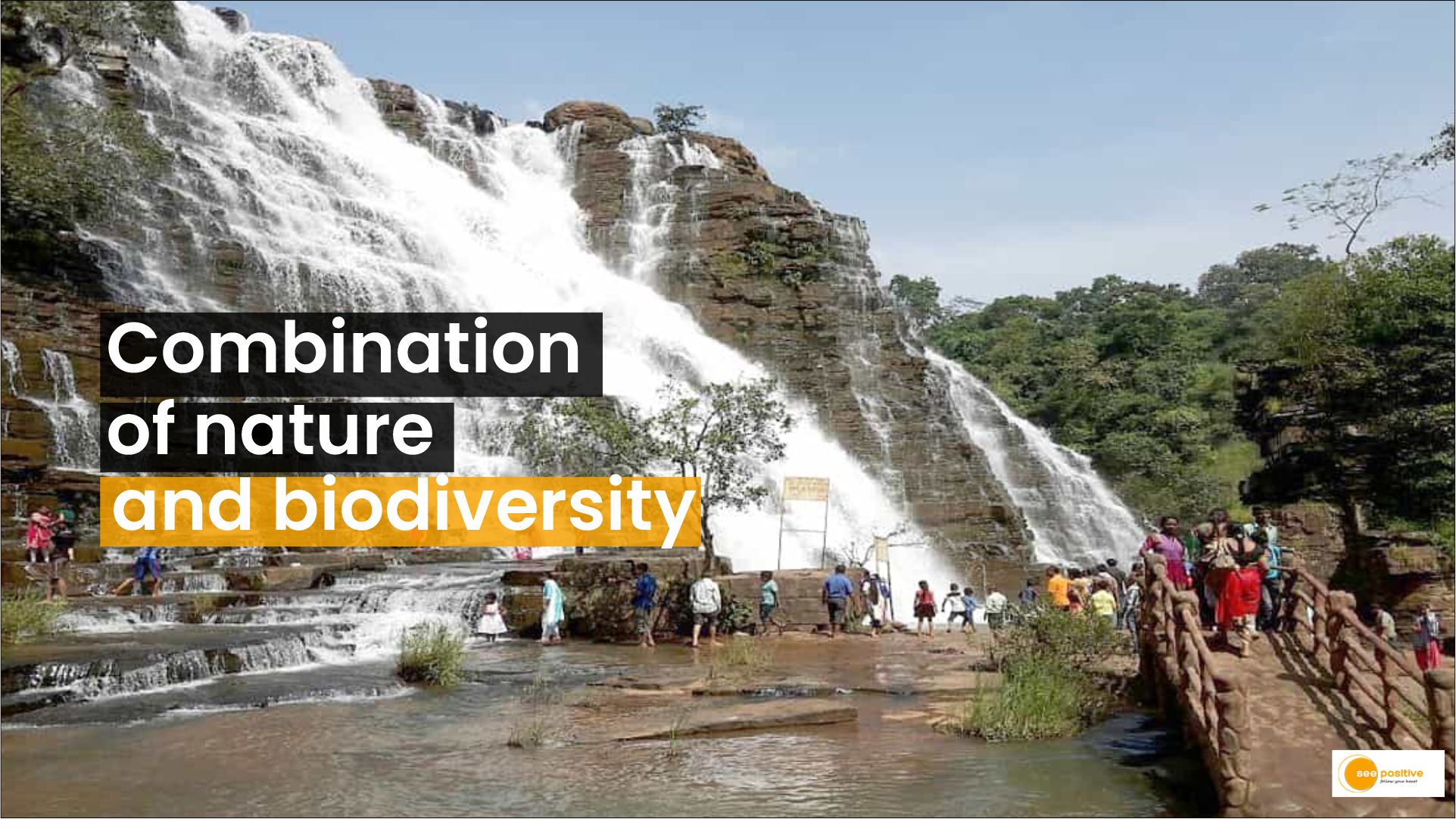 Women in the Workforce