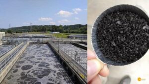 Read more about the article Scientists transform waste water into valuable Phosphorus for soil rejuvenation