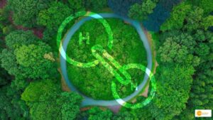 Read more about the article Export of hydrogen fuel, move to reach net zero carbon emissions by 2070