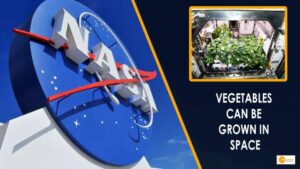 Read more about the article NASA ने स्पेश स्टेशन में पहली बार उगाई शिमला मिर्च, अंतरिक्ष में जीवन के संकेत
