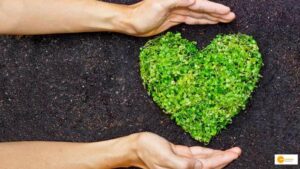 Read more about the article Significance Of Human Values On Environmental Control