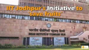 Read more about the article IIT जोधपुर ने फलों के लिए बनाया सेंसर, जानें कैसे फलों की सेल्फ लाइफ को बढ़ाने के लिए उपयोगी?
