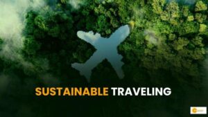 Read more about the article Sustainable Traveling: कार्बन फुटप्रिंट को कम करने का अनोखा ट्रेंड!