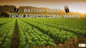 Read more about the article Sorbiforce: World’s 1st sustainable battery crafted from agricultural waste