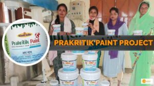 Read more about the article Making eco-friendly paints from cow dung and empowering rural women in Unnao