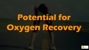 Read more about the article Study reveals high ocean oxygen levels in ancient past, offering hope for marine life