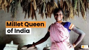 Read more about the article Meet the “Queen of Millets” who preserves 30 types of rare millets in India