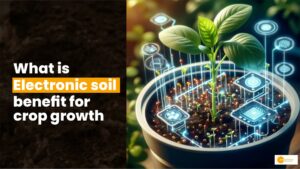 Read more about the article ‘Electronic soil’ Enhances Crop Growth! HOW